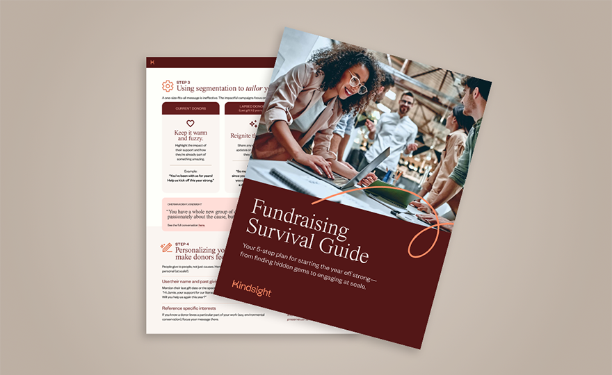 Fundraising Survival Guide preview image